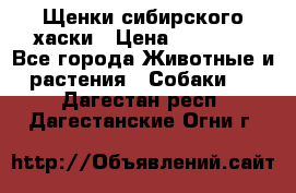 Щенки сибирского хаски › Цена ­ 12 000 - Все города Животные и растения » Собаки   . Дагестан респ.,Дагестанские Огни г.